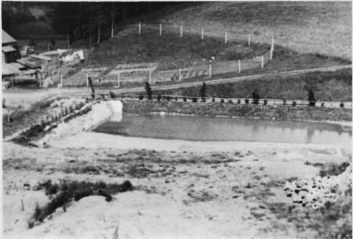 Skalka 1956 červenec_2_D