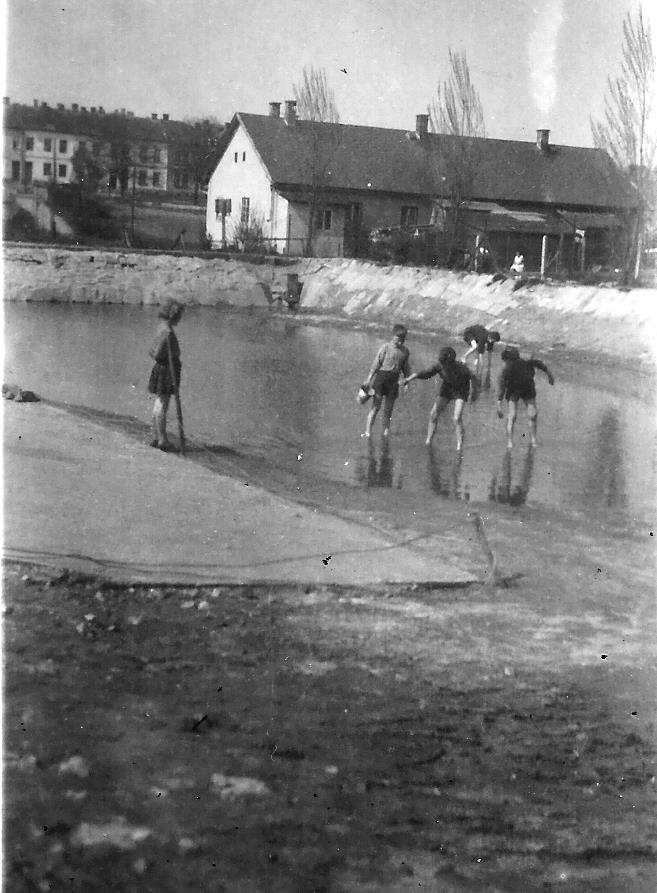 Skalka 1956_D