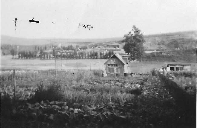 Skalka asi 1957_ze silnice Telečská_D
